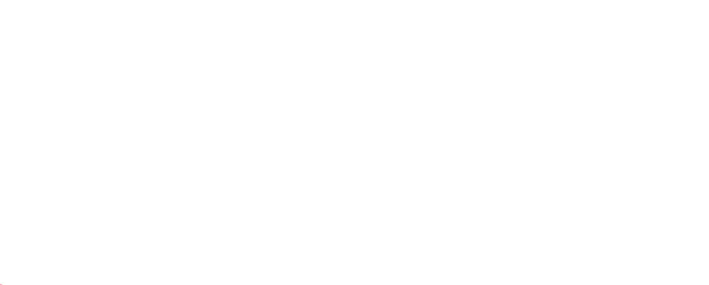 FSY2024 for the strength of Youth